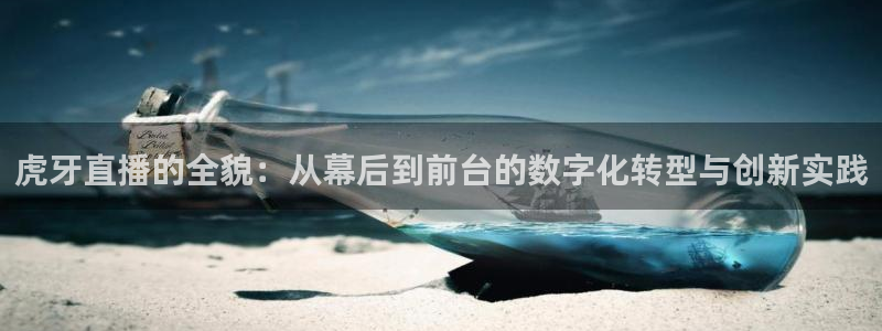 熊猫体育足球直播在线观看：虎牙直播的全貌：从幕后到前台的数字化转型与创新实践