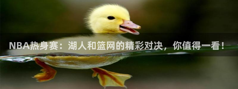 熊猫主播：NBA热身赛：湖人和篮网的精彩对决，你值得一看！
